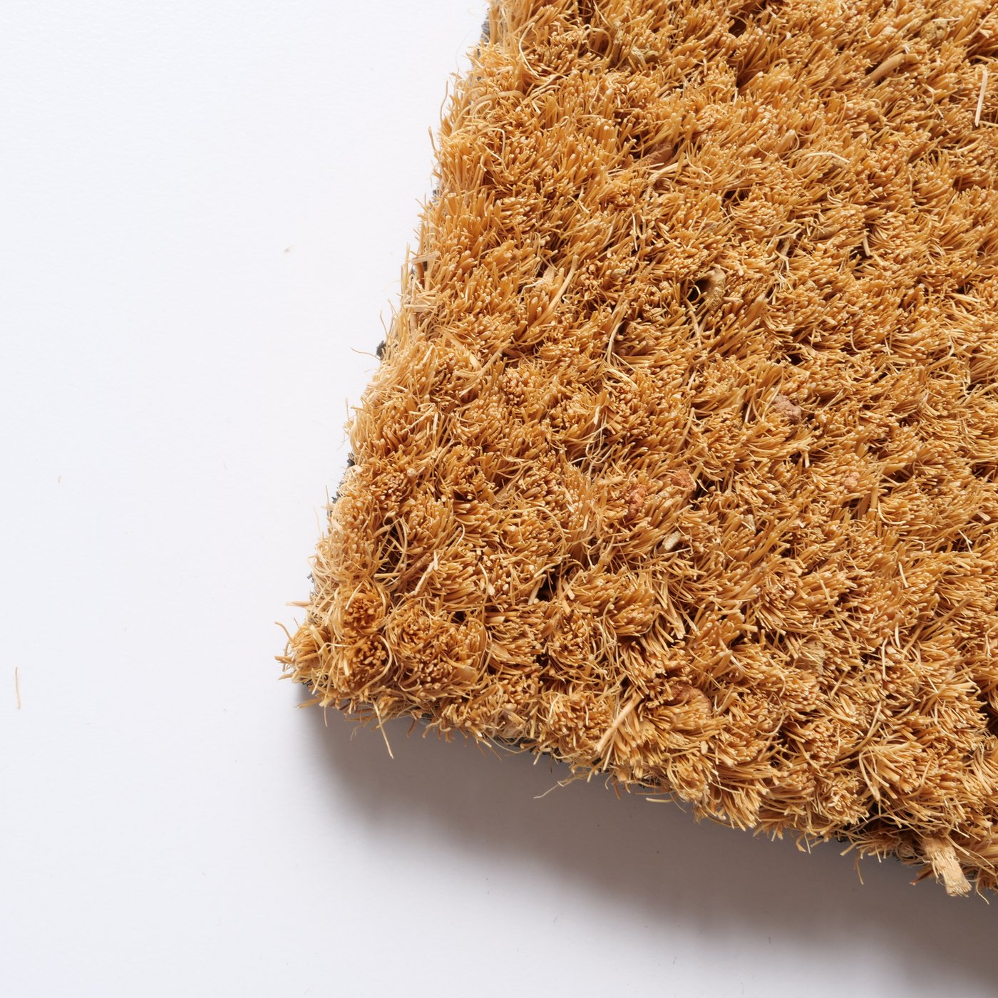 moderne Kokosmatte von Boltze