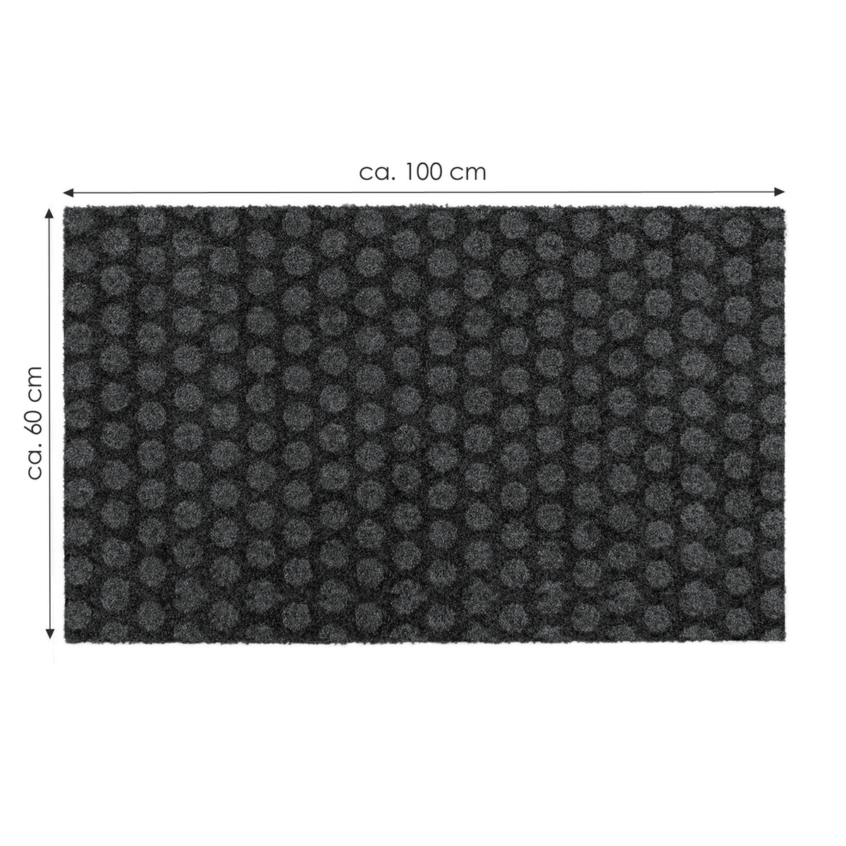 Fußmatte 60x100 Mat Punkte anthrazit