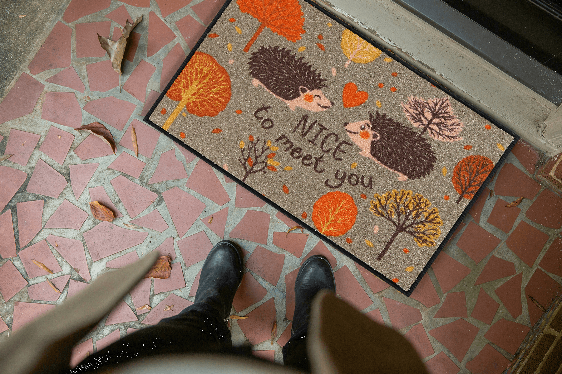 Salonloewe Eingangsmatte Flur Igel Herbst willkommen