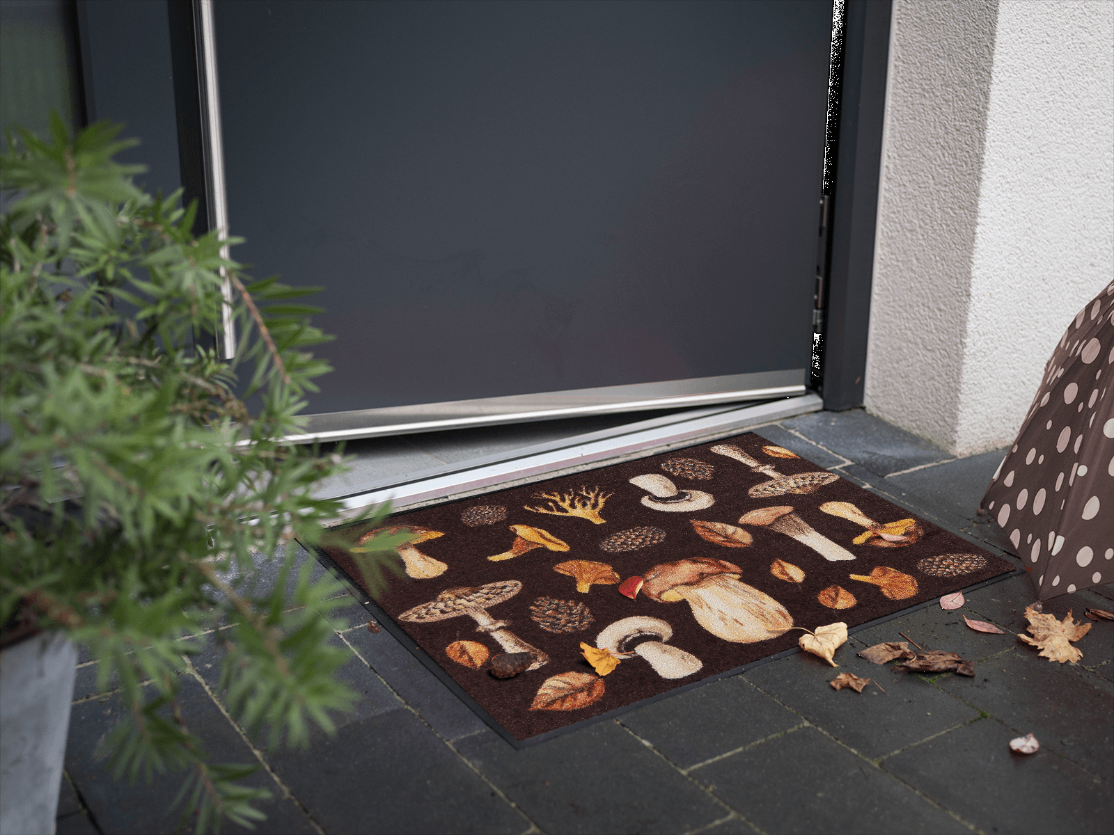 Fußmatte 50x75 Mushroom Time braun