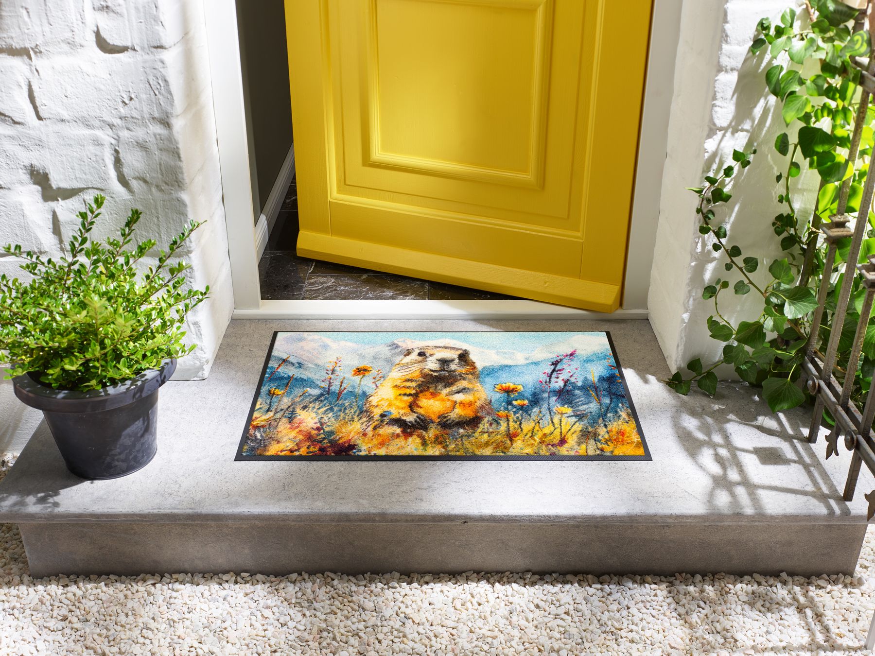 Fußmatte Leander 50x75