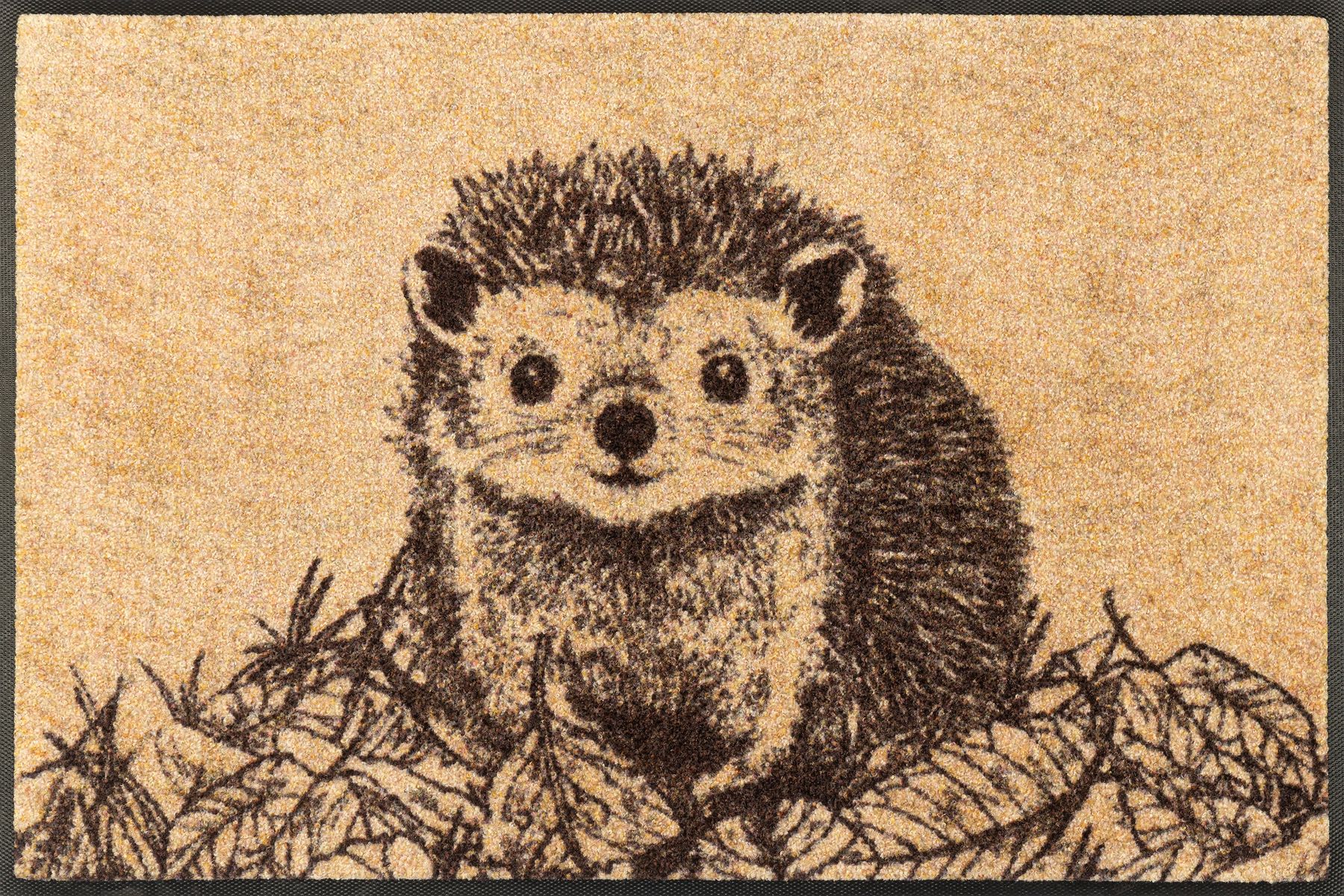 Fußmatte 50x75 Hedgy beige