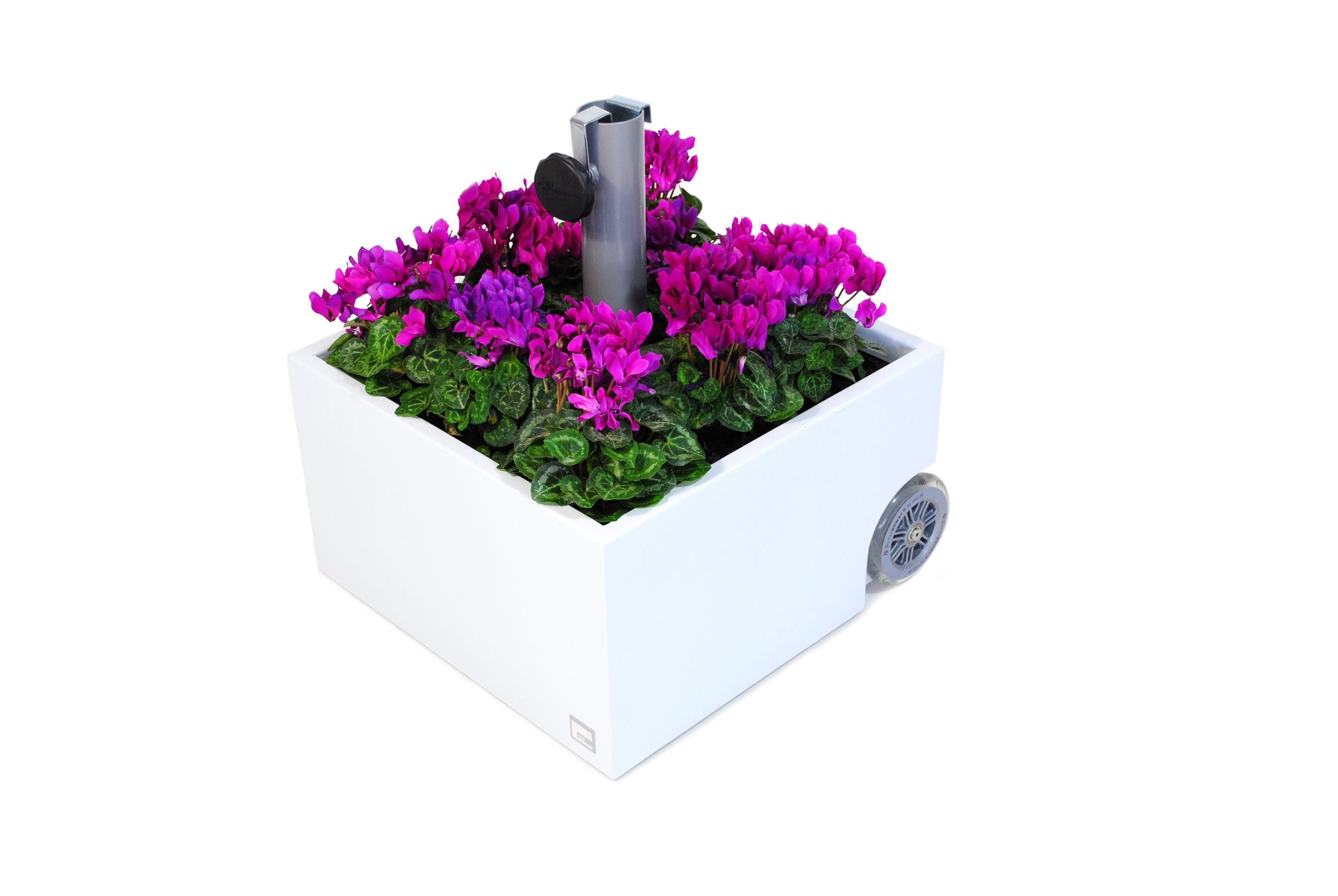 Sonnenschirmständer weiß rollbar & bepflanzbar | Flowerpower