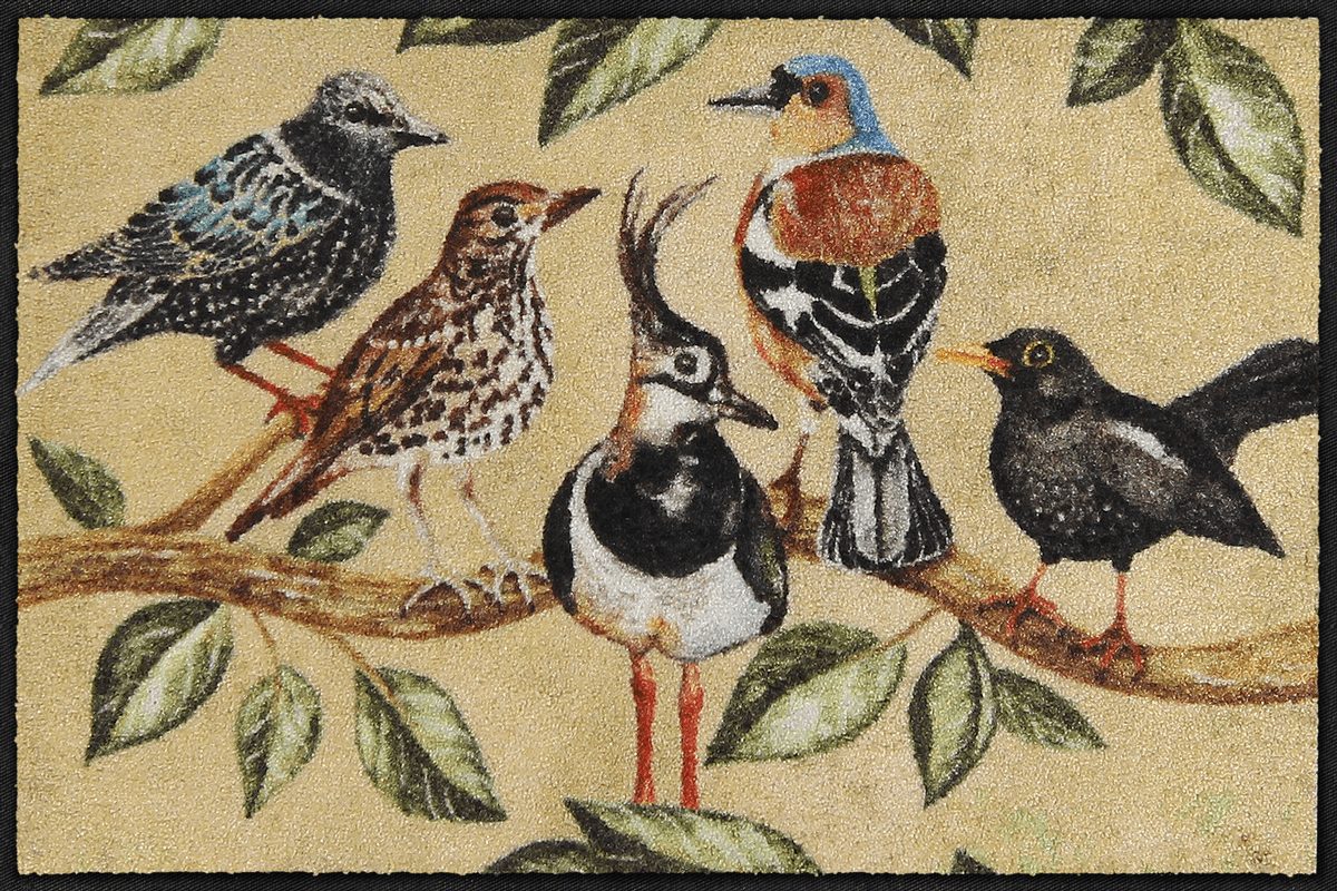 Fußmatte 50x75 Bird Song beige