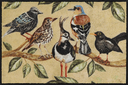 Fußmatte 50x75 Bird Song beige
