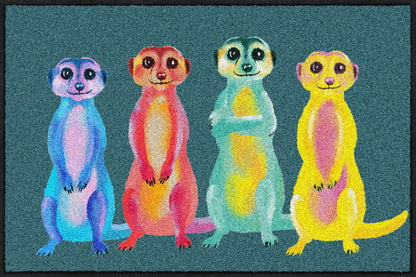 Fußmatte 50x75 Rainbow Meerkats