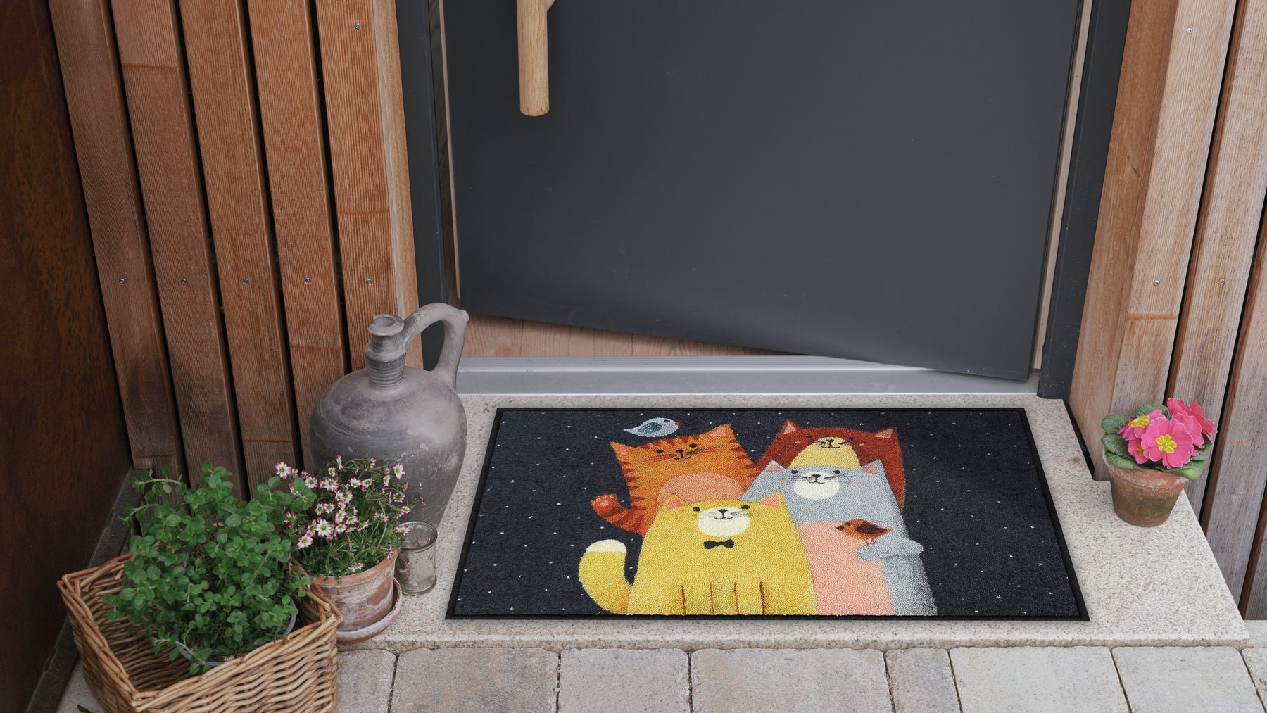 Fußmatte 50x75 Cat-Quartet bunt