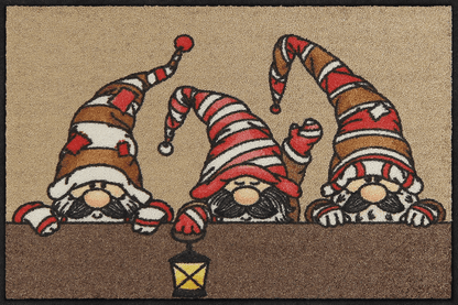 Fußmatte 50x75 Julklapp beige