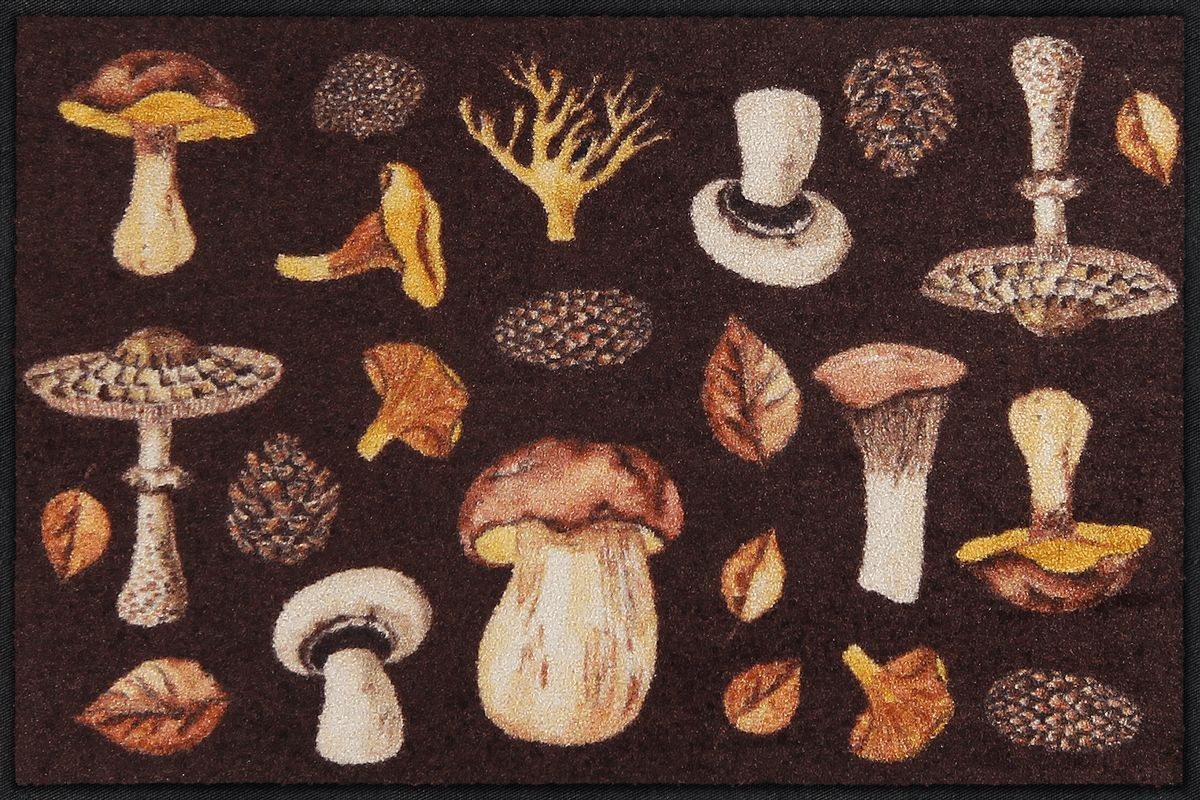 Fußmatte 50x75 Mushroom Time braun