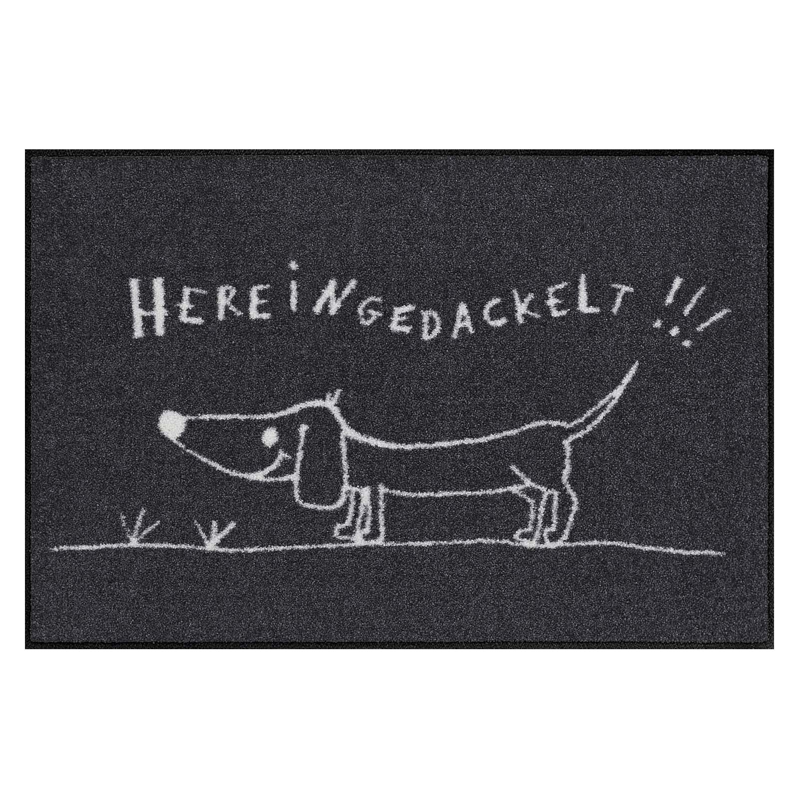 Fußmatte 50x75 Hereingedackelt grau