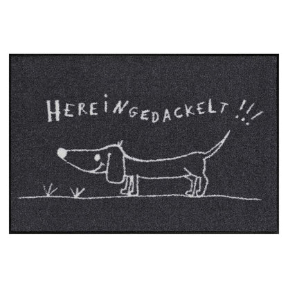 Fußmatte 50x75 Hereingedackelt grau