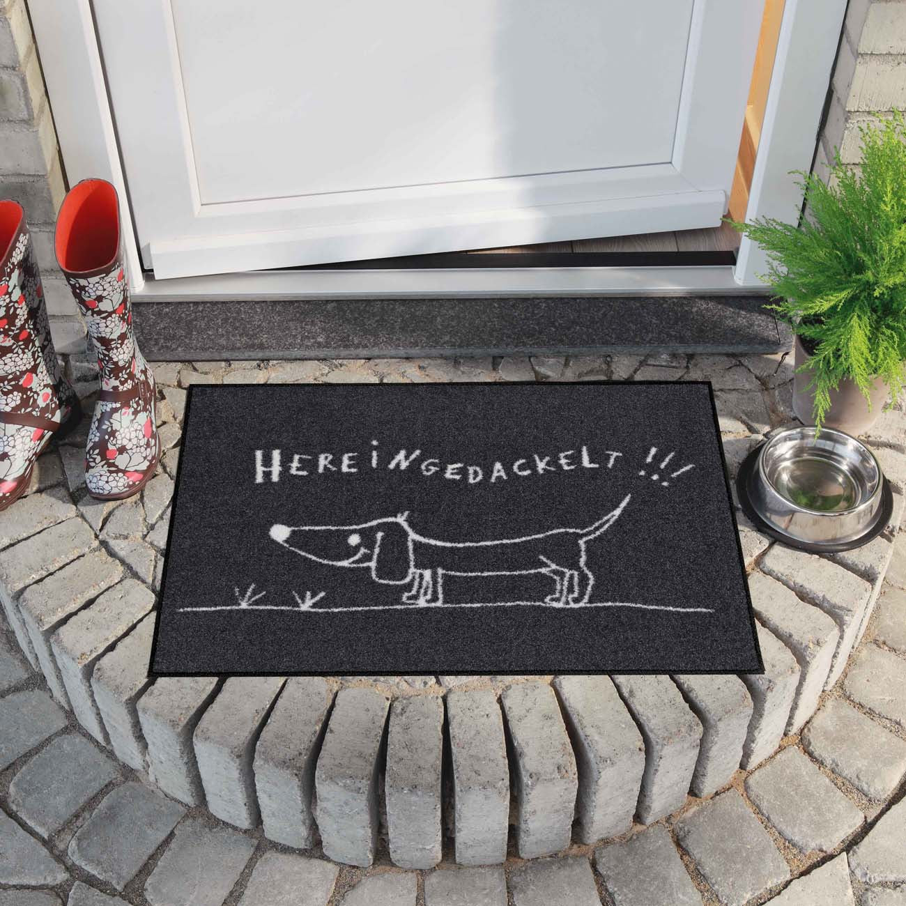 Fußmatte 50x75 Hereingedackelt grau