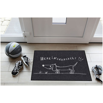 Fußmatte 50x75 Hereingedackelt grau