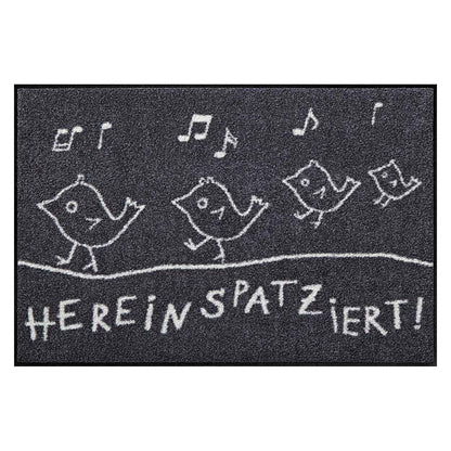 Fußmatte 50x75 Hereinspatziert grau