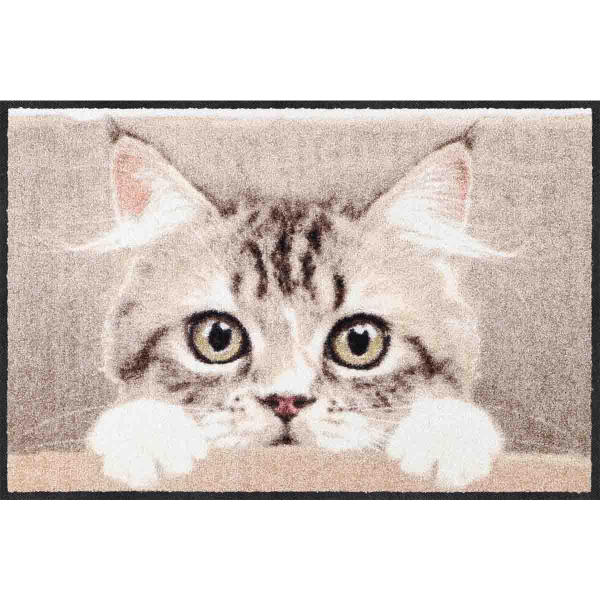 Fußmatte 50x75 Nosy Cat beige