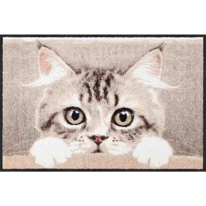 Fußmatte 50x75 Nosy Cat beige