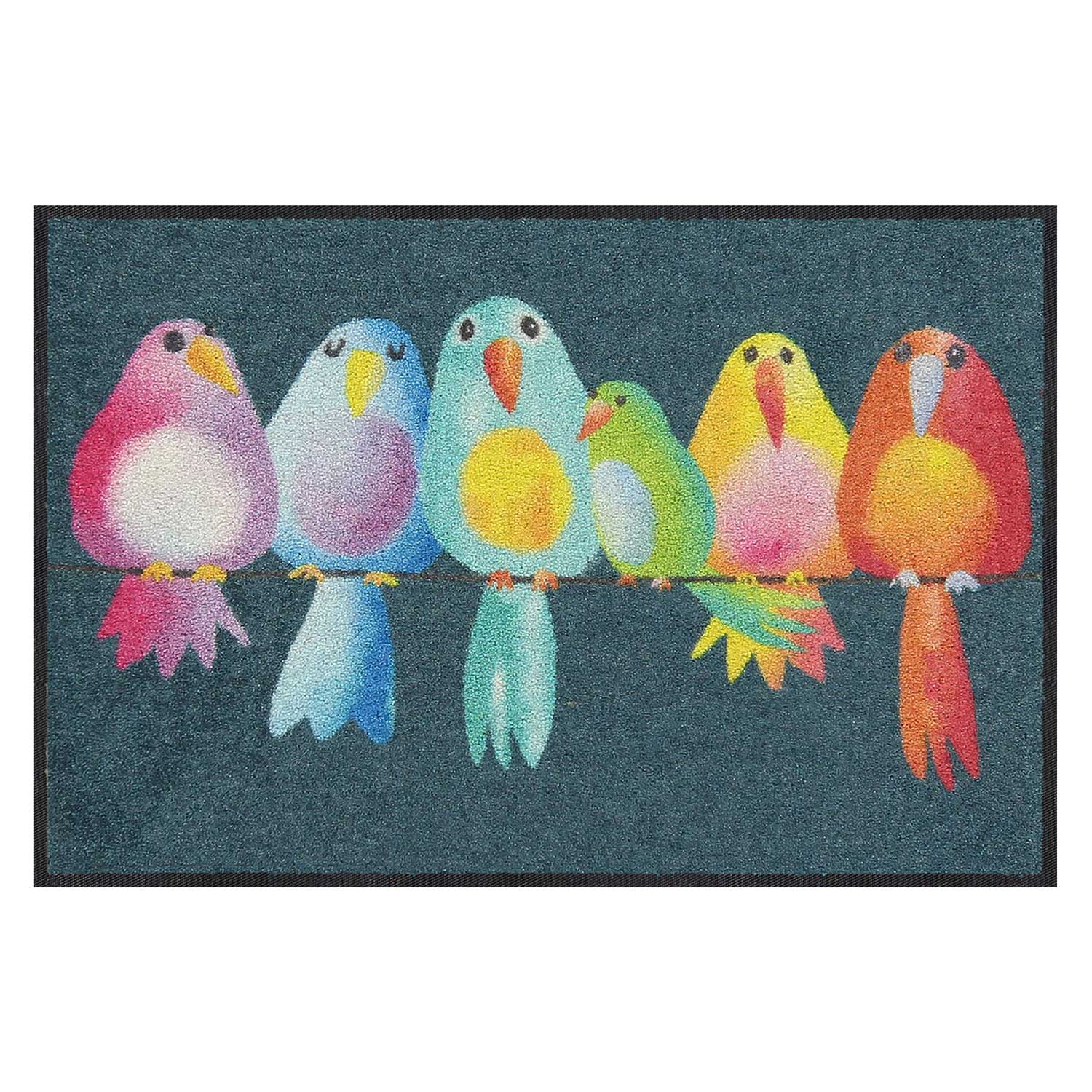 Fußmatte 50x75 Rainbow Birds