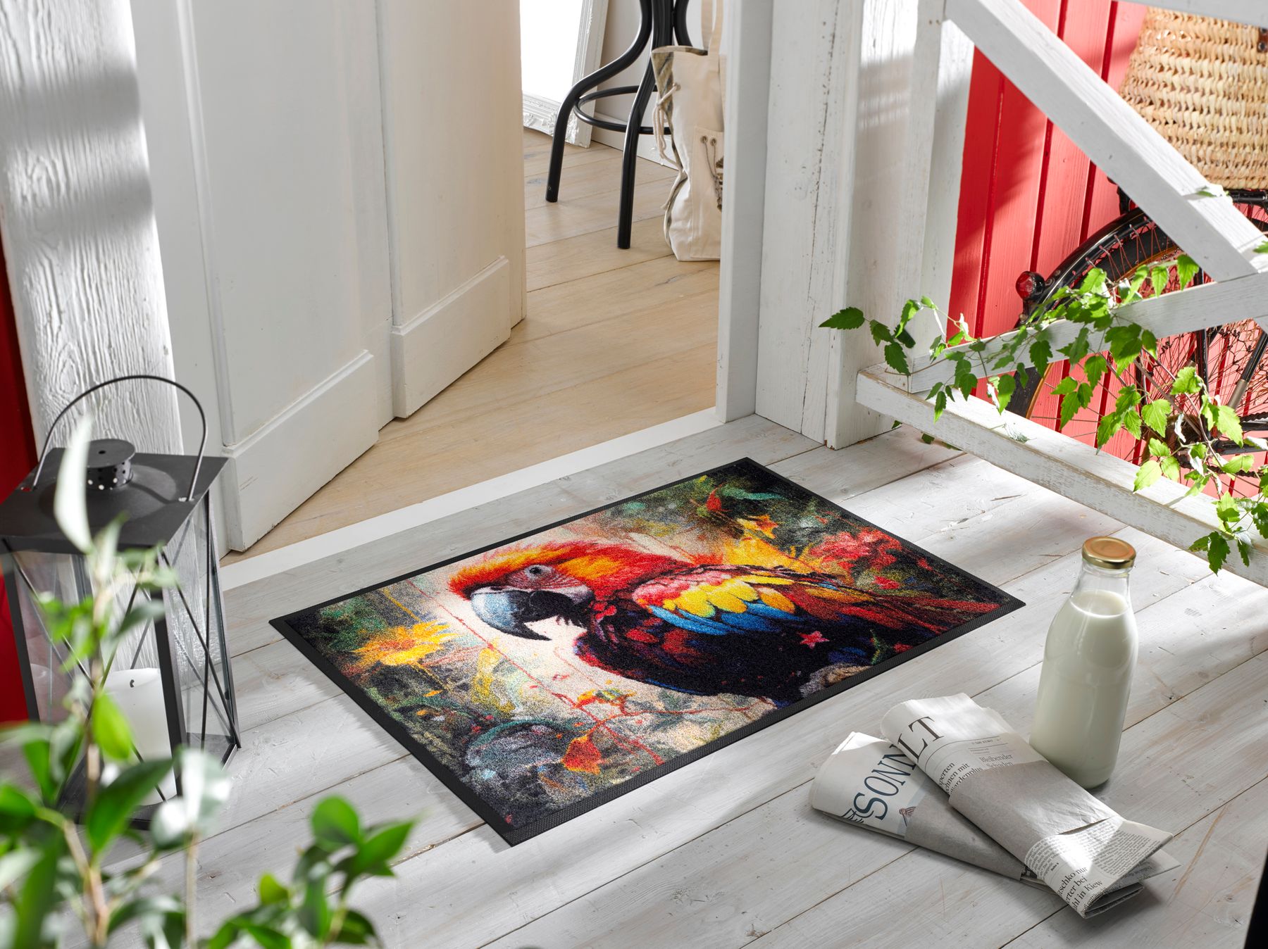 Fußmatte 50x75 Parry McParrot