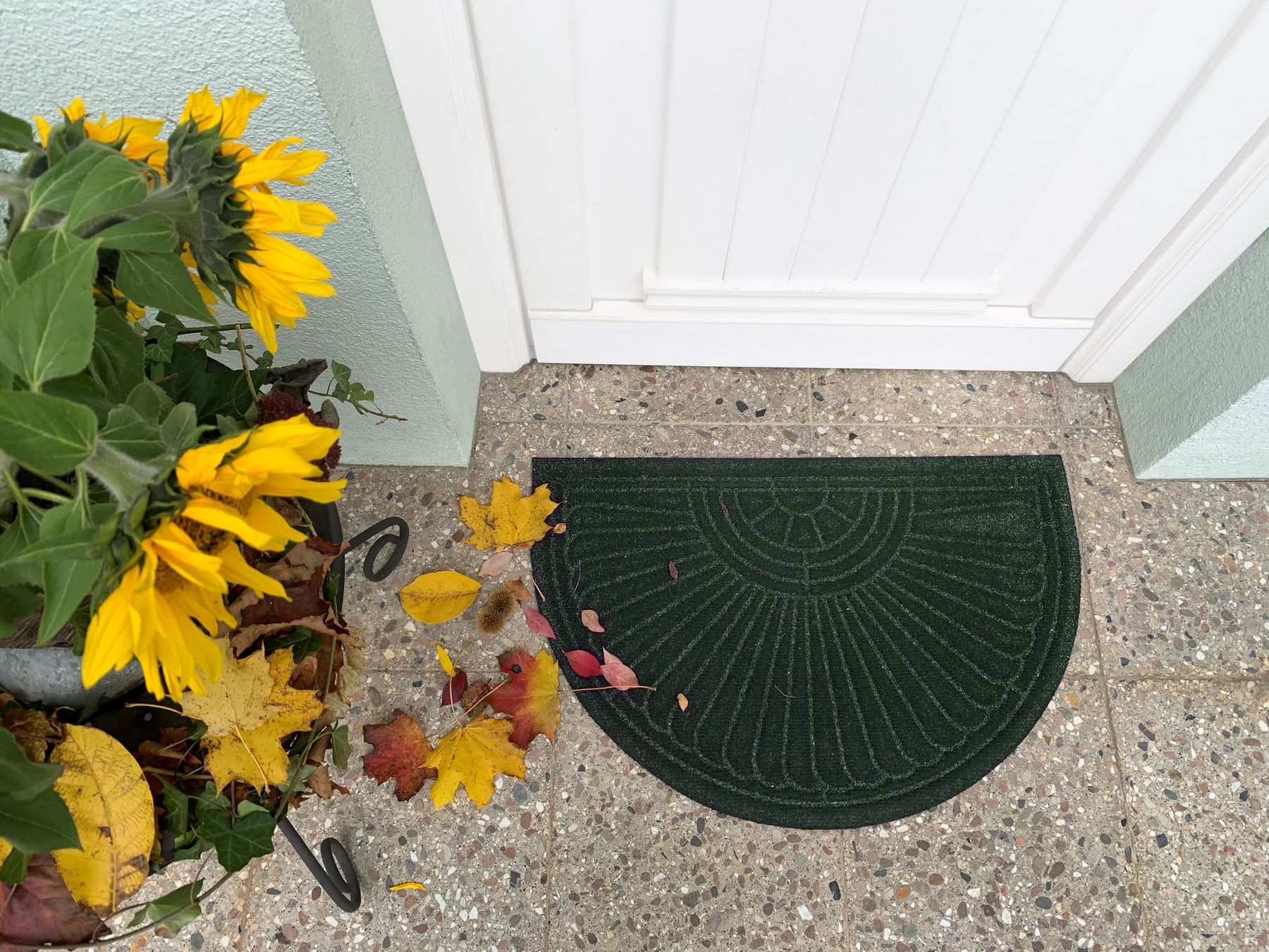 Fußmatte 55x85 Dune Halfmoon Midnight Green