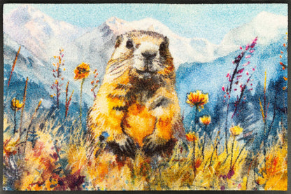 Fußmatte Leander 50x75