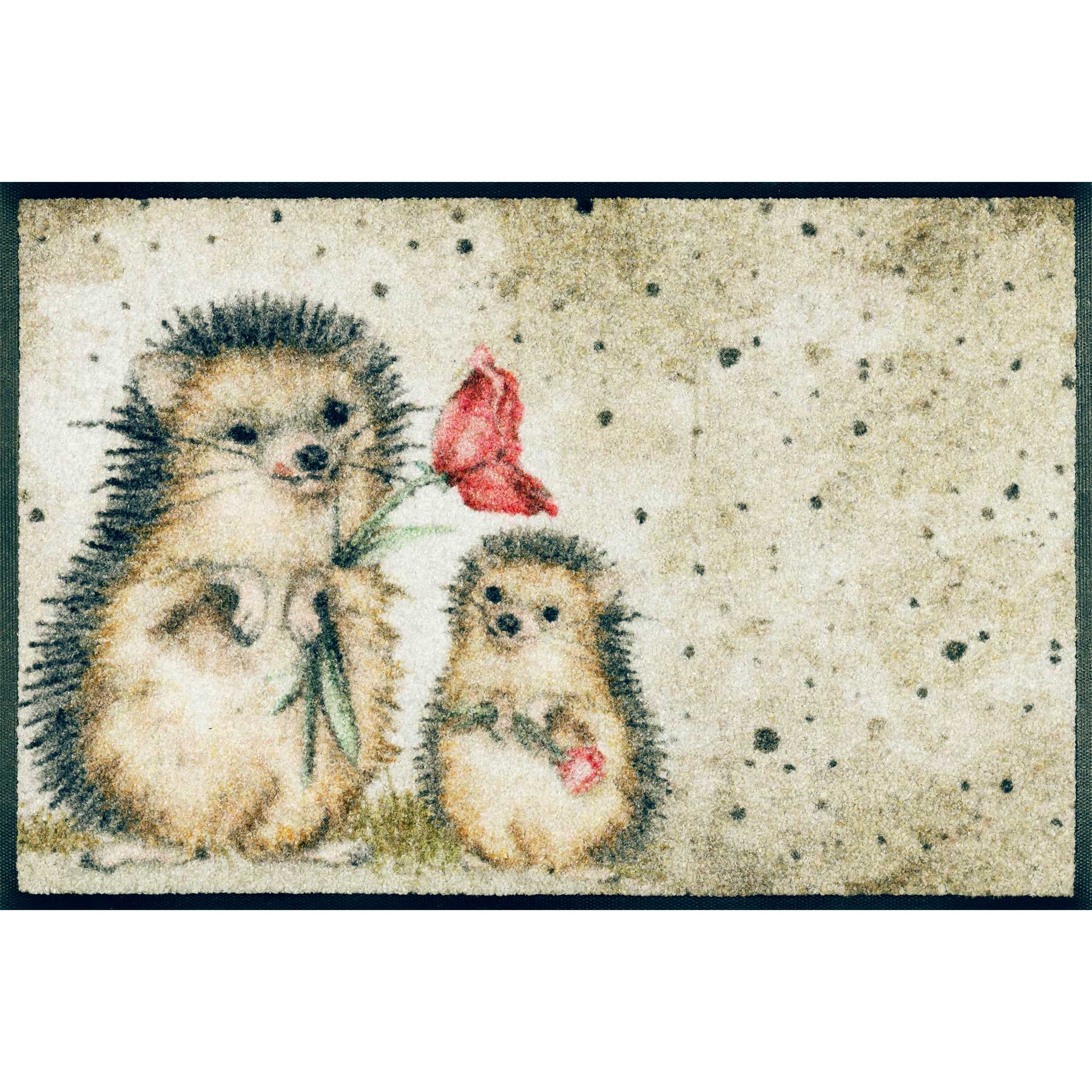 Fußmatte 40x60 Spike beige