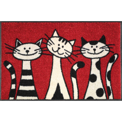 Fußmatte 50x75 Three Cats