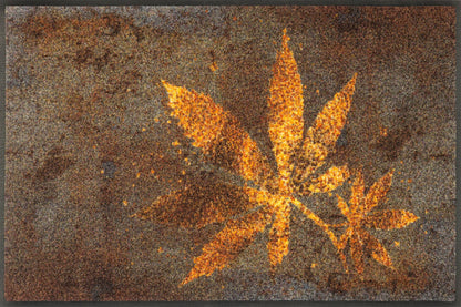 Fußmatte 50x75 Herb Blend braun