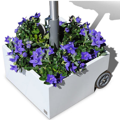 Sonnenschirmständer weiß rollbar & bepflanzbar | Flowerpower